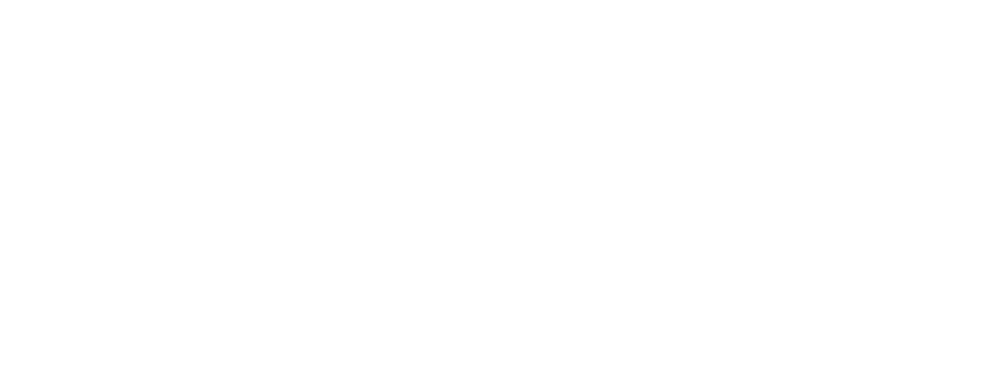 Mirrorxblack logo white